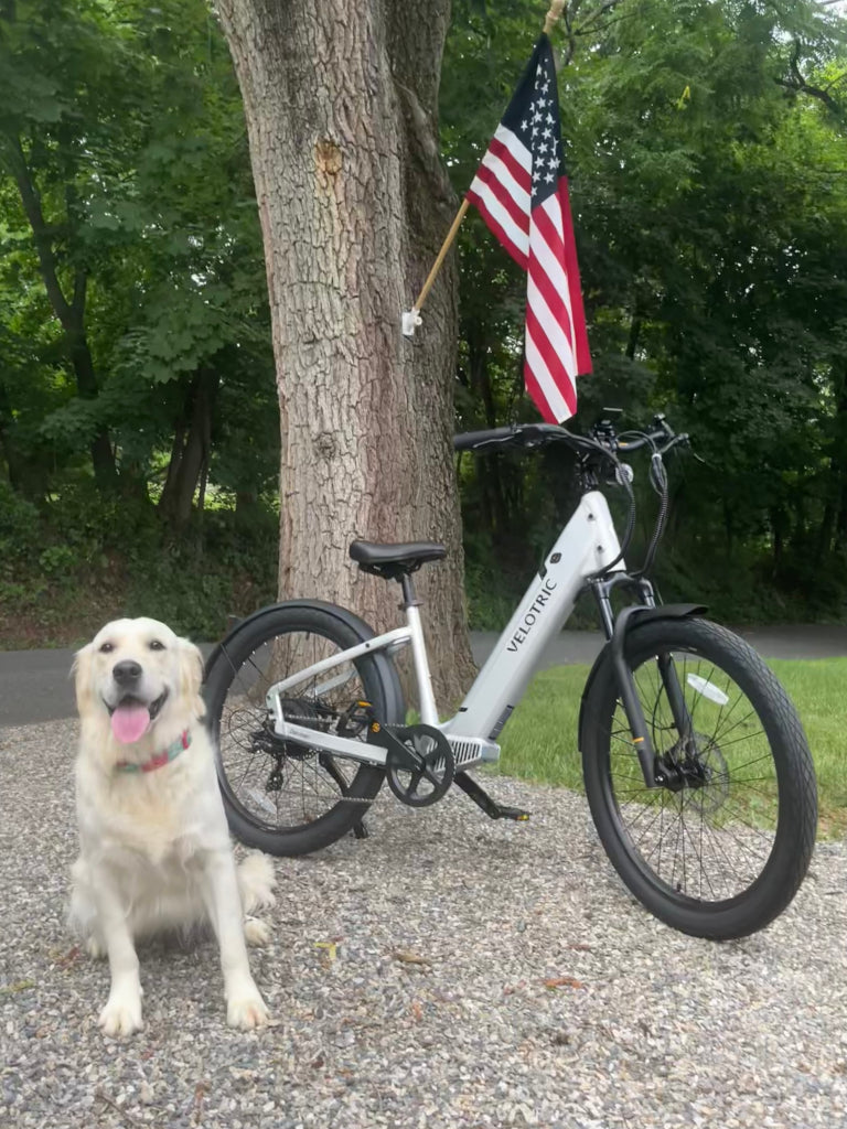 Velotric Discover 1 Plus